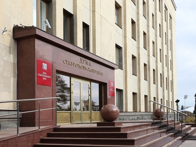 Всего с начала года депутаты провели 11 заседаний Думы, на которых было принято 118 законов