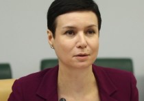 Сенатор от заксобрания Ростовской области Ирина Рукавишникова подала заявление о досрочном сложении своих полномочий с формулировкой по собственному желанию