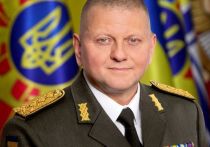 Киев намерен отправить тысячи студентов для формирования нового поколения законопослушных чиновников  обновленным подходом к бизнесу, заявил Валерий Залужный