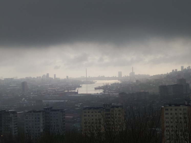 Владивосток окутан дымовой завесой: эхо природных пожаров достигло города