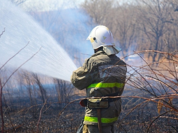 Три природных пожара успешно ликвидировали в Приморье за сутки