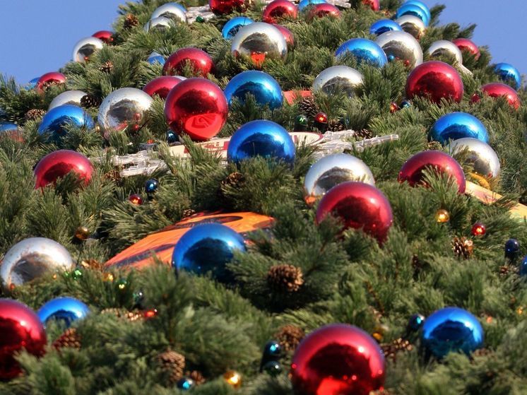 Стали известны зарплаты Дедов Морозов в Подмосковье