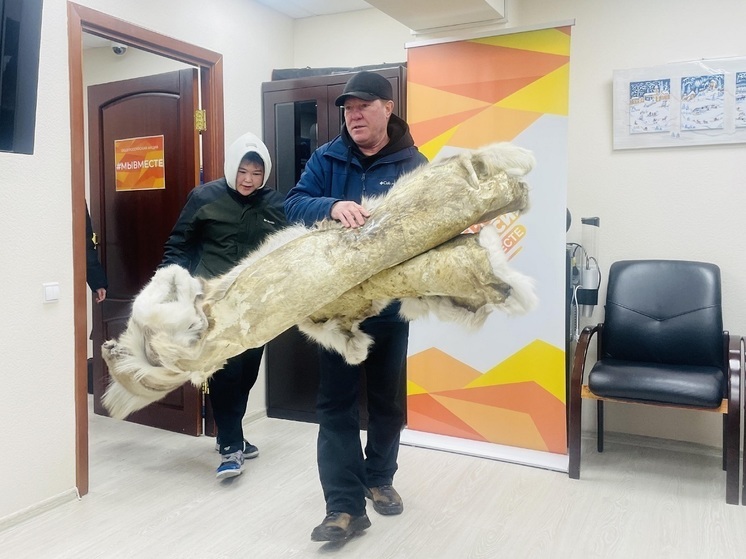 Оленьи шкуры для бойцов СВО передали жители Муравленко