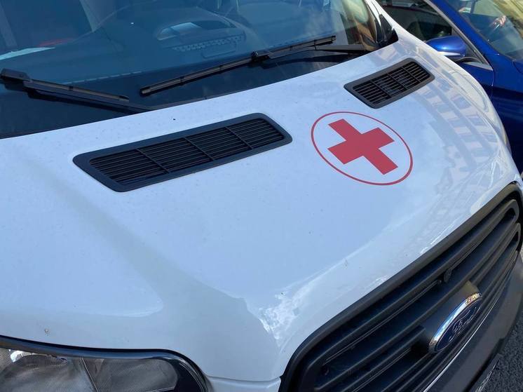 В Гатчинском районе школьница чуть не погибла под колесами автомобиля