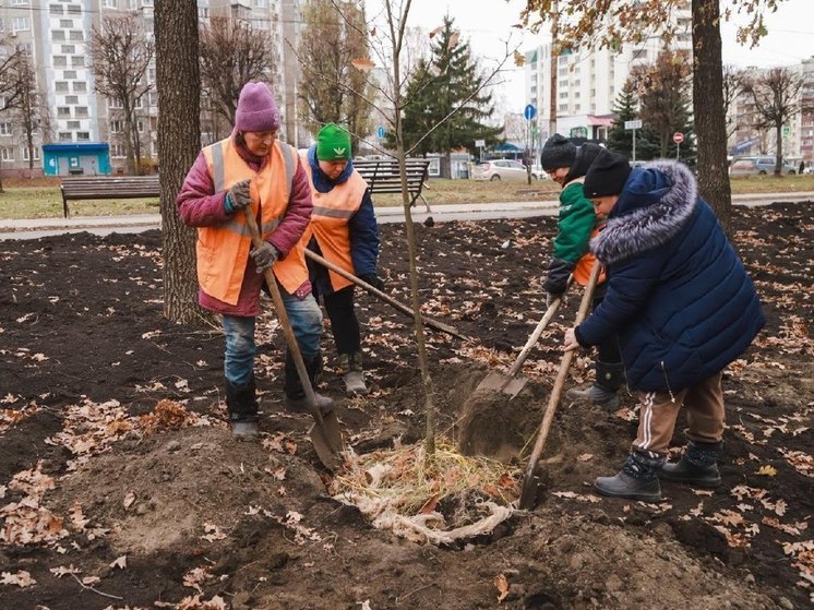 В 15-м микрорайоне Липецка появится дубовая роща