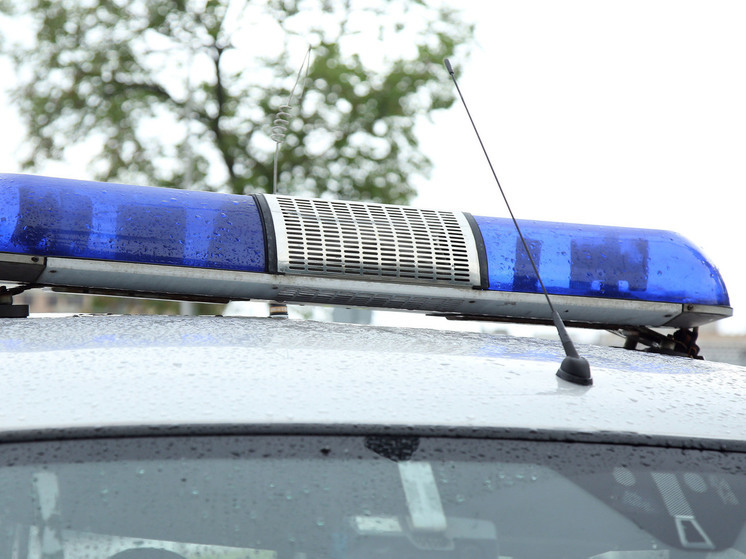 Девушка, пошутившая про теракт в Красногорске, ушла из колледжа