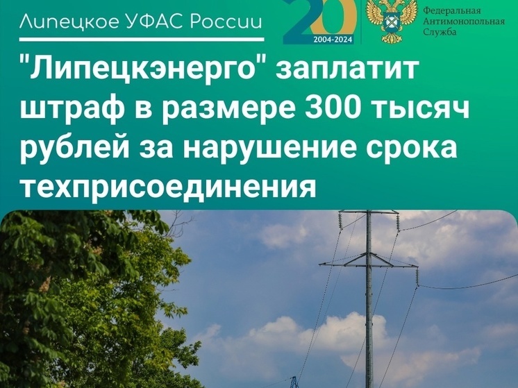 «Липецкэнерго» оштрафовали на 300 тысяч рублей