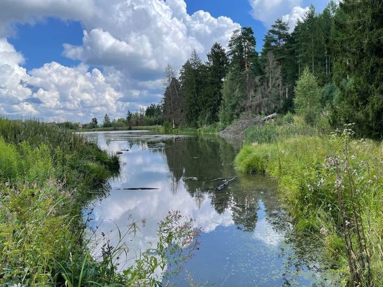Прокуратура намерена отсудить земли Балашихи в пользу государства