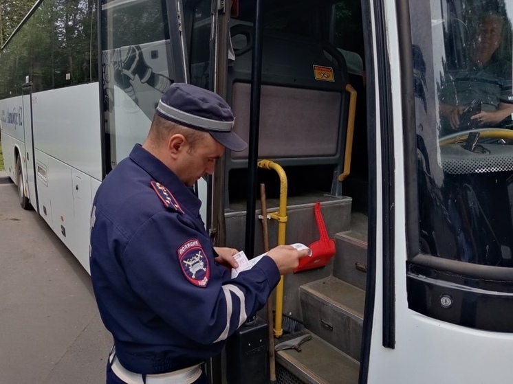 Госавтоинспекция подвела итоги рейдов по автобусам в Рязанской области