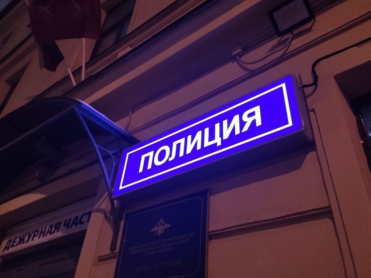 Молодых людей во Всеволожске обвинили в серии грабежей с насилием