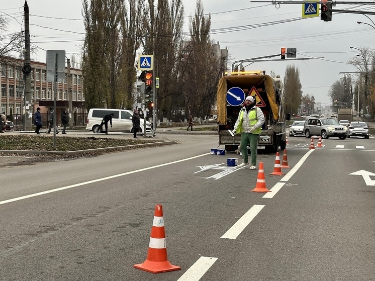 Дорожную разметку скорректировали в Липецке на улице Папина после ремонта