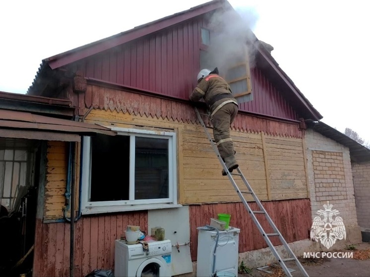 Пожарные спасли дом от огня в Липецкой области