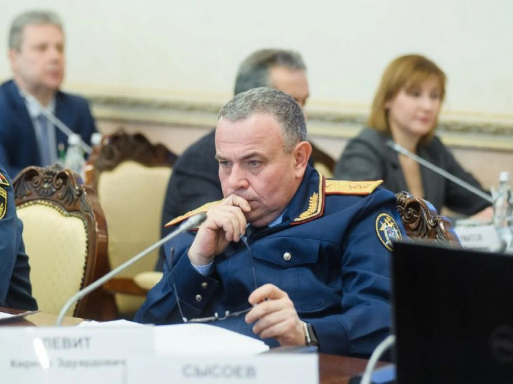 Орловец Кирилл Левит назначен полпредом воронежского губернатора