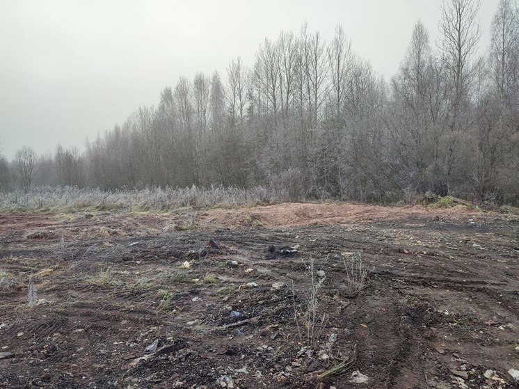 В Новгородской области убрали стихийную свалку площадью 1000 квадратных метров