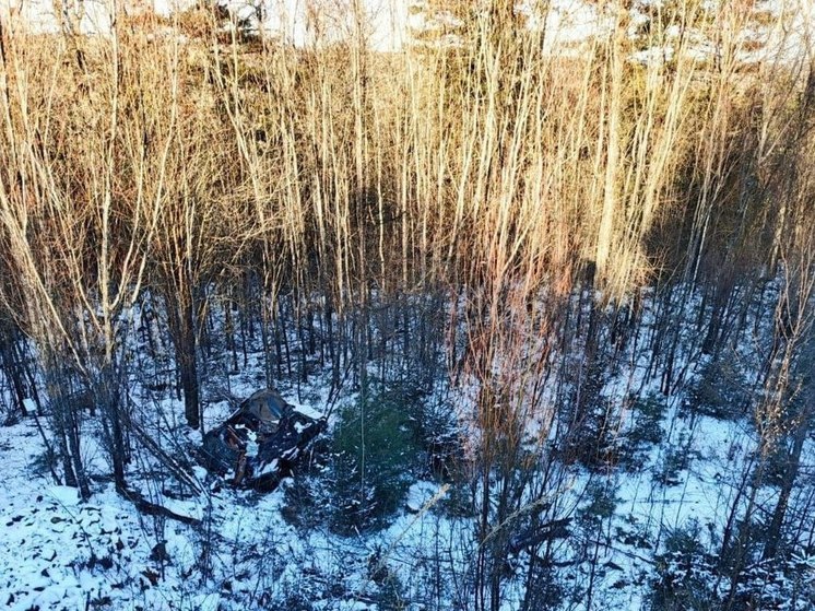 Спустя две недели нашли тело пропавшего водителя в Хабаровском крае