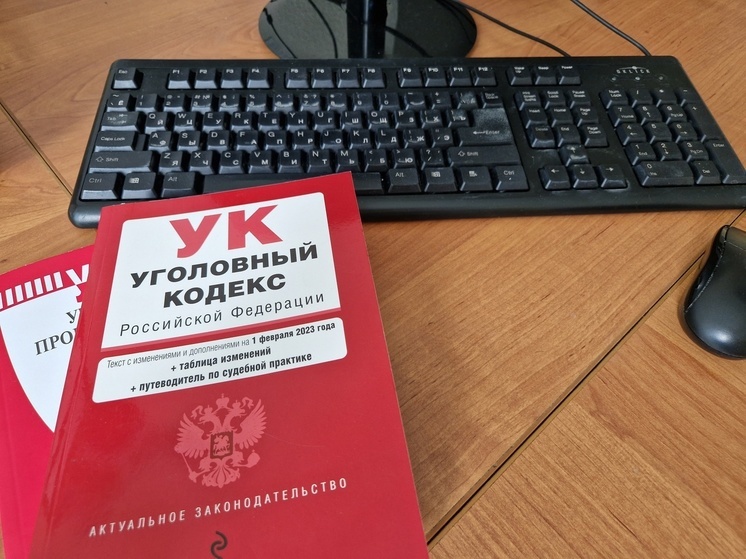 Юнец из Котласского округа ответит в суде за мошенничество в отношении пенсионерки