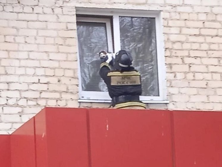 Орловские спасатели дважды за сутки выезжали на помощь братьям меньшим