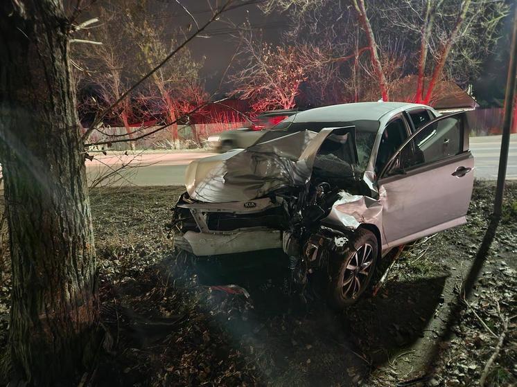 В Туле автоледи госпитализирована после наезда на дерево на Kia Optima