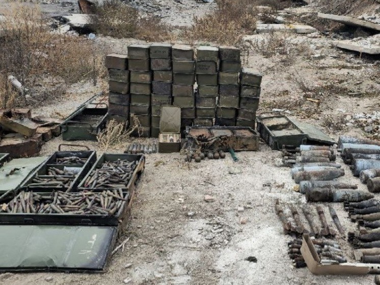 В Бердянском районе Запорожья нашли крупный схрон с боеприпасами