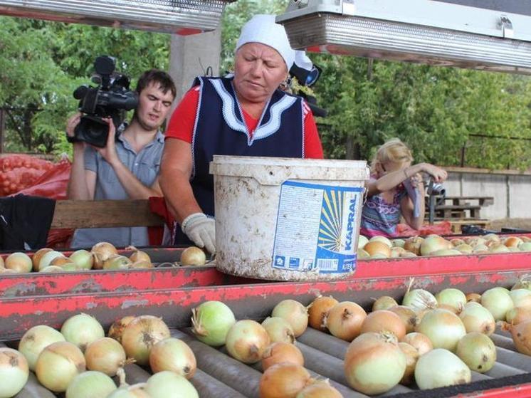 Рост розничной торговли в Краснодарском крае достиг 5%