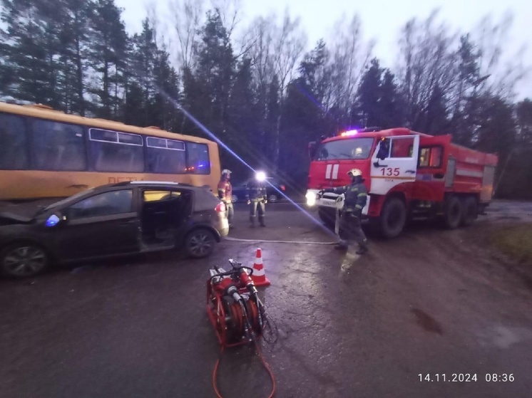 В Лужском районе школьный автобус столкнулся с легковушкой