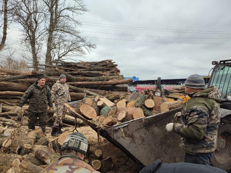 В Курской области заготовили более 200 кубометров дров для бойцов СВО