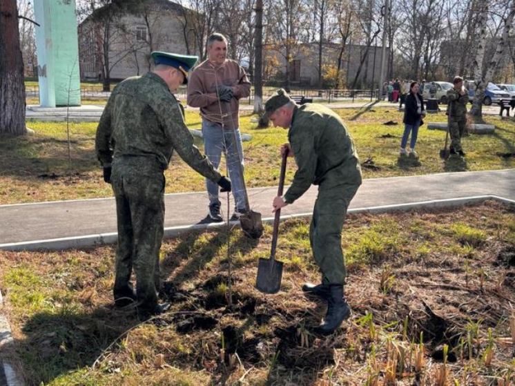 В Хабаровском крае высадили 2500 молодых саженцев в рамках акции «Сохраним лес»