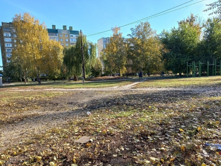 В Курской области с 16 ноября начнется небольшое потепление