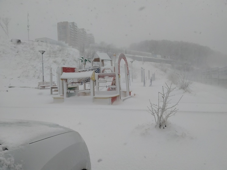 Владивосток накроет снегом и ветром до 27 м/с: городские службы готовы к непогоде