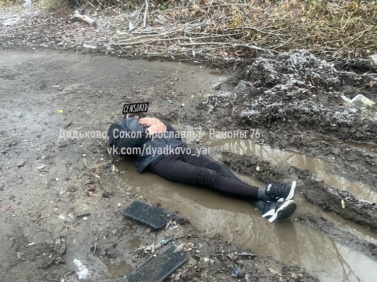 В Ярославле жители спасали наркомана из лужи