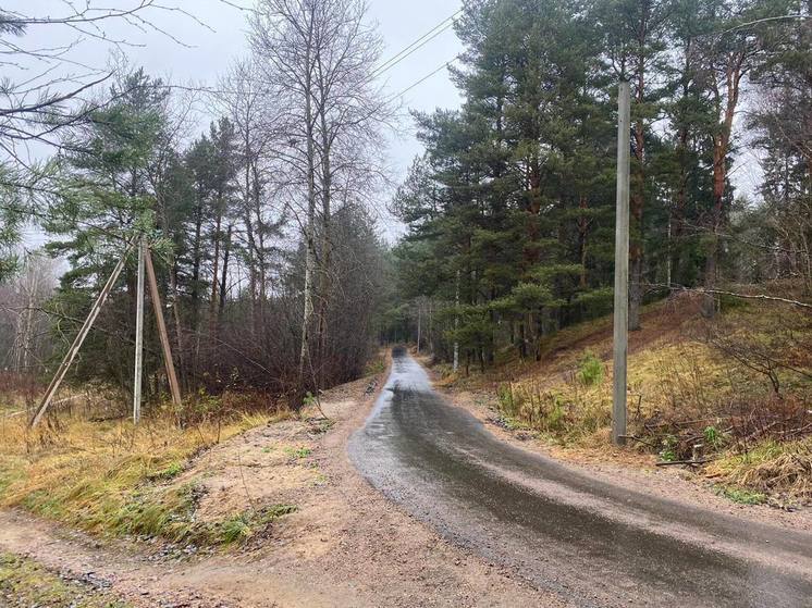 На дороге к участкам многодетных семей в Кузьмолово установили фонари