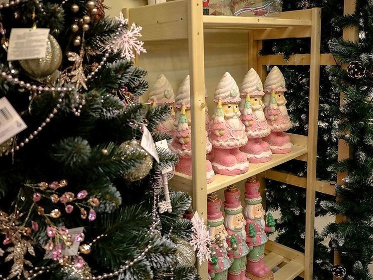 Экономист Балынин призвал россиян не брать кредиты на празднование Нового года