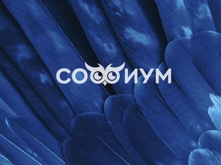 В Курске проводят региональный этап Всероссийской олимпиады школьников «Софиум»
