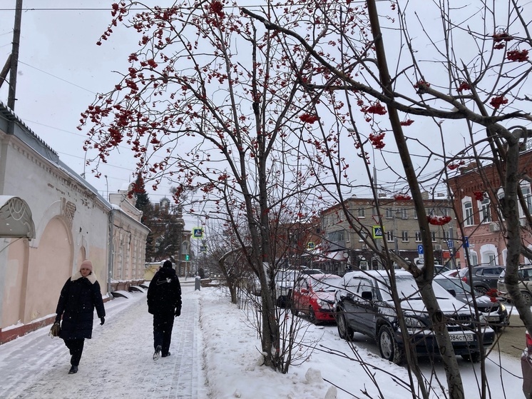 В Томске синоптики 15 ноября прогнозируют небольшой снег и потепление до 0 градусов