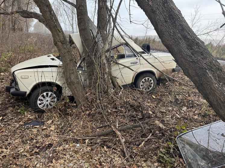 Под Воронежем 19-летний водитель врезался на скорости в дерево