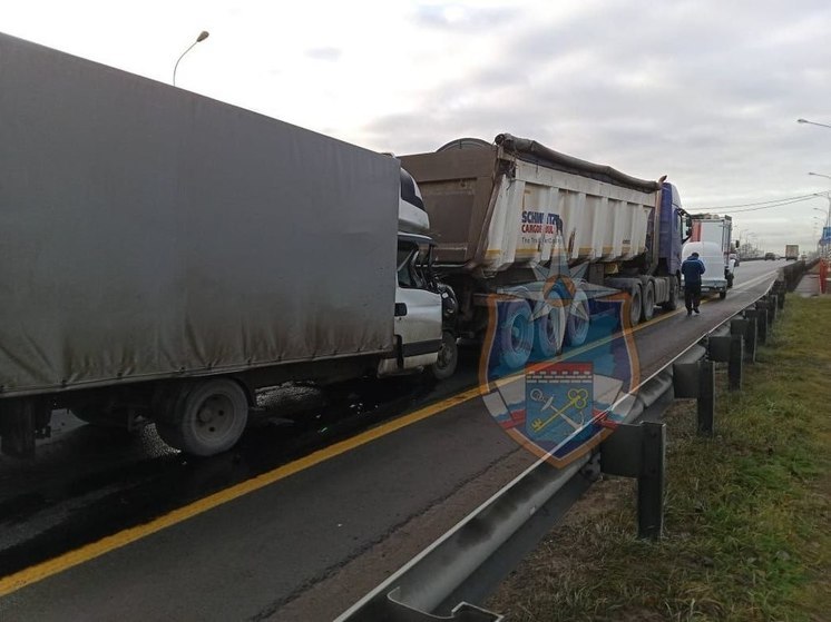 На Мурманском шоссе столкнулись два грузовика: одного водителя зажало в кабине