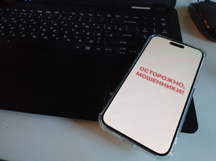 Специалисты рассказали о лидерах по борьбе с мошенничеством в Новгороде