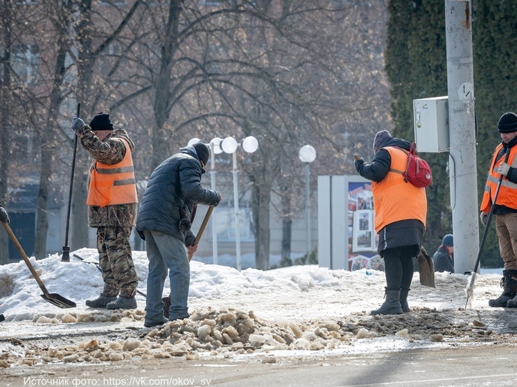 В Орле в некоторых УК выявили недостаточную укомплектованность дворниками