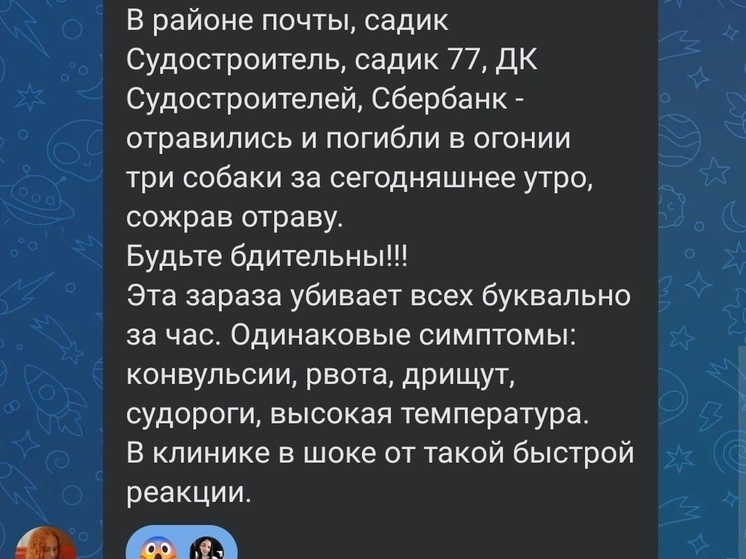 В Ярославле догхантеры начали массово травить собак