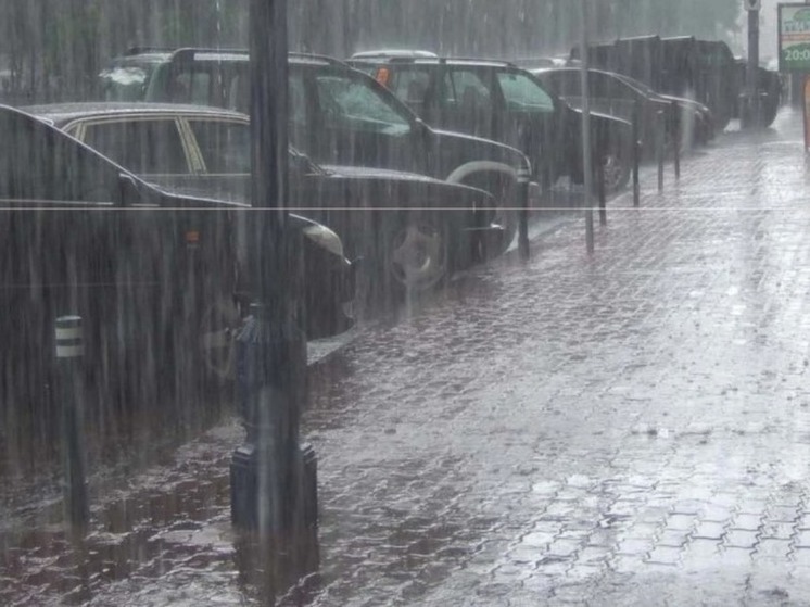 Синоптик рассказала, какая погода будет в Москве на выходных