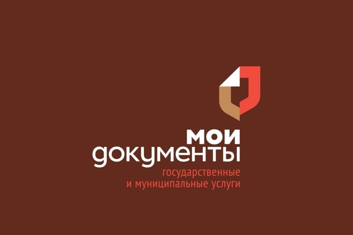 За 10 месяцев 2024 года «Мои документы» оказали пензенцам более 1,2 услуг