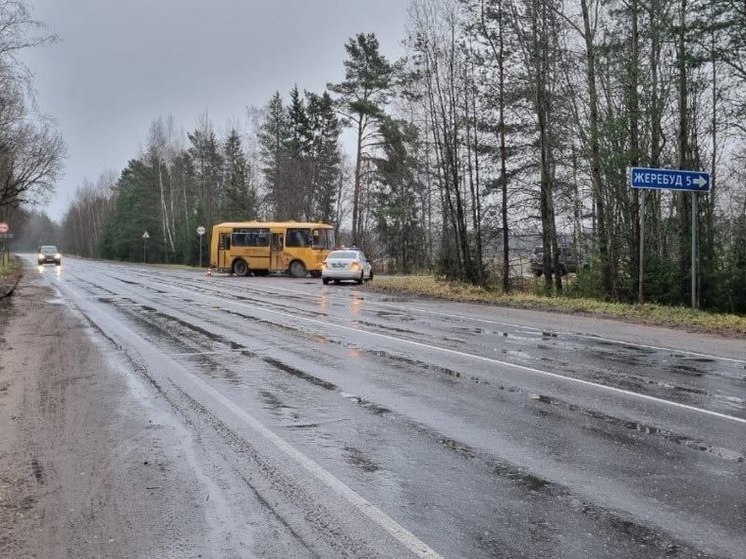 В Лужском районе столкнулись школьный автобус и легковушка