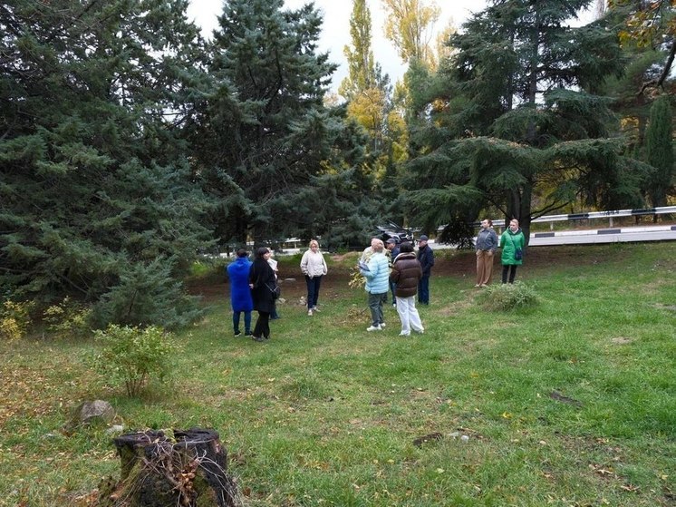 В Гурзуфе планируют создать новый общественный парк