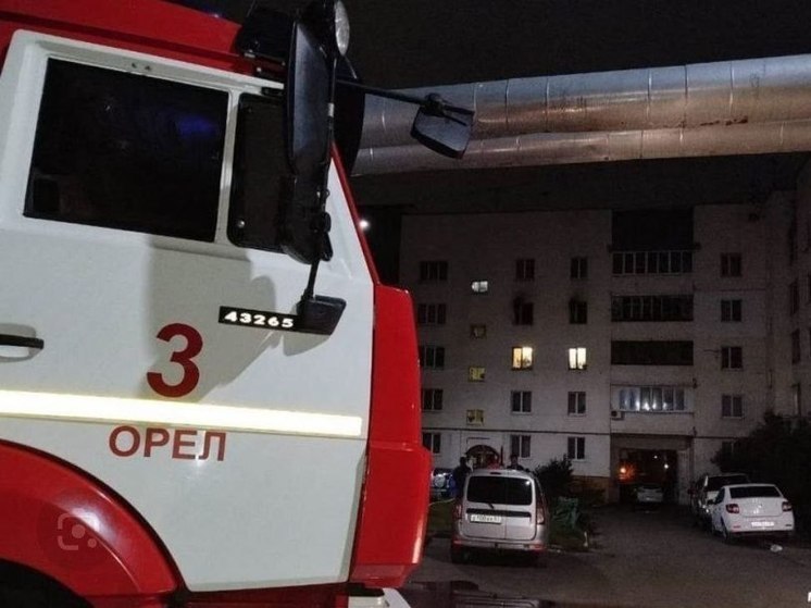 В Орле сотрудники МЧС помогли транспортировать женщину до автомобиля СМП