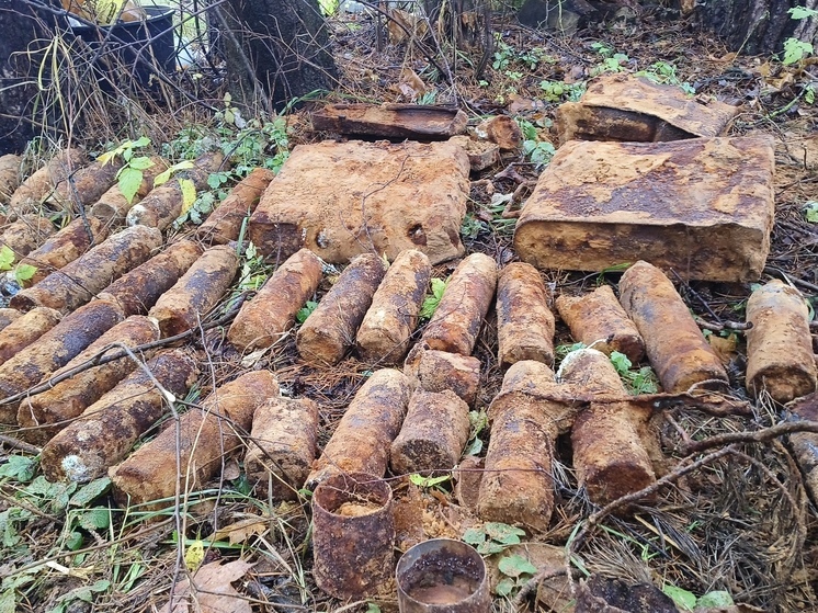 Более 70 артснарядов времен войны нашли в Псковской области