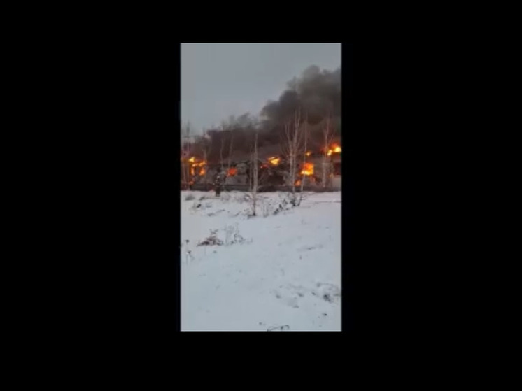 В Кузбассе загорелся животноводческий комплекс