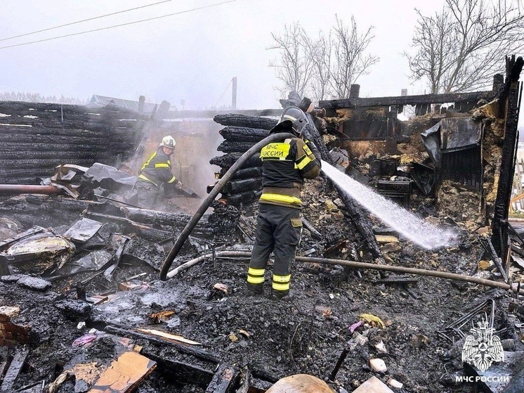 Подробности пожара в Сафоновском СНТ