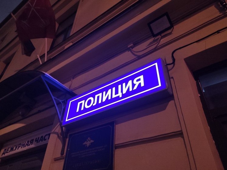 Нерегулируемый переход стал местом смертельного ДТП в Ленобласти