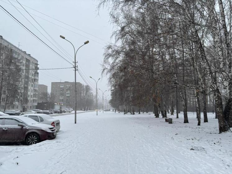 Синоптики прогнозируют ветер и -2 градуса в Новосибирске 17 ноября