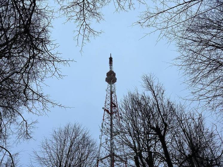 Телебашню в Великом Новгороде подсветят фиолетовым